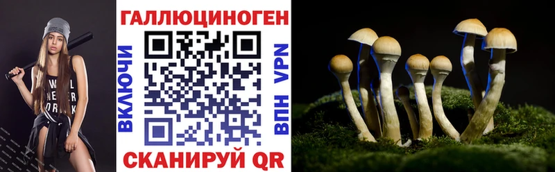 Галлюциногенные грибы прущие грибы купить наркоту Большой Камень