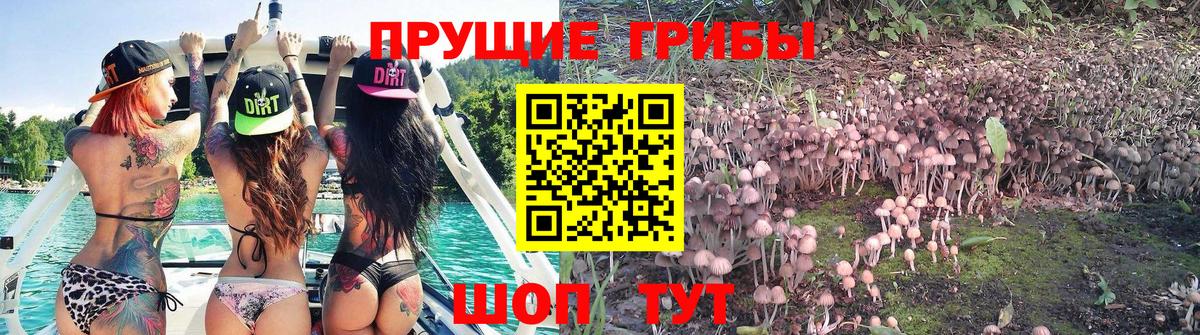 MDMA  Вход с VPN  ГАШИШ  Кокаин  Большой Камень  Меф   ГАШИШ  Конопля  A-PVP СОЛЬ  