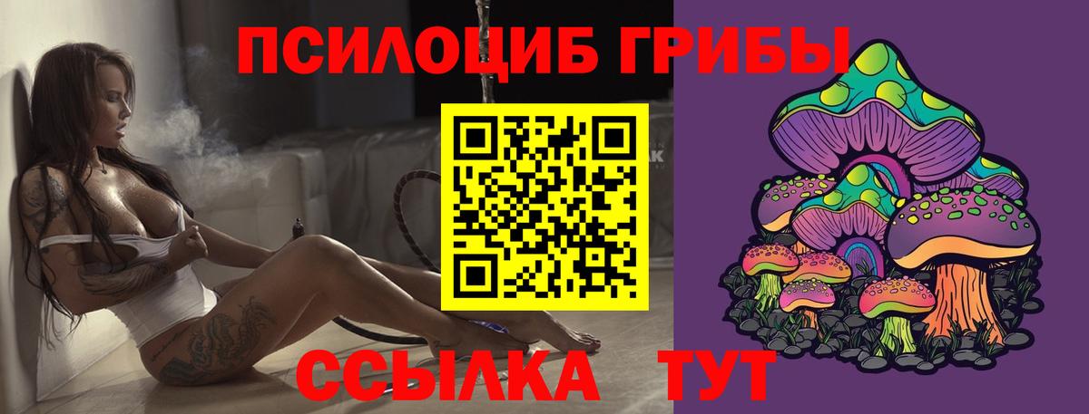 Большой Камень  Псилоцибиновые грибы Cubensis  Вход с VPN 