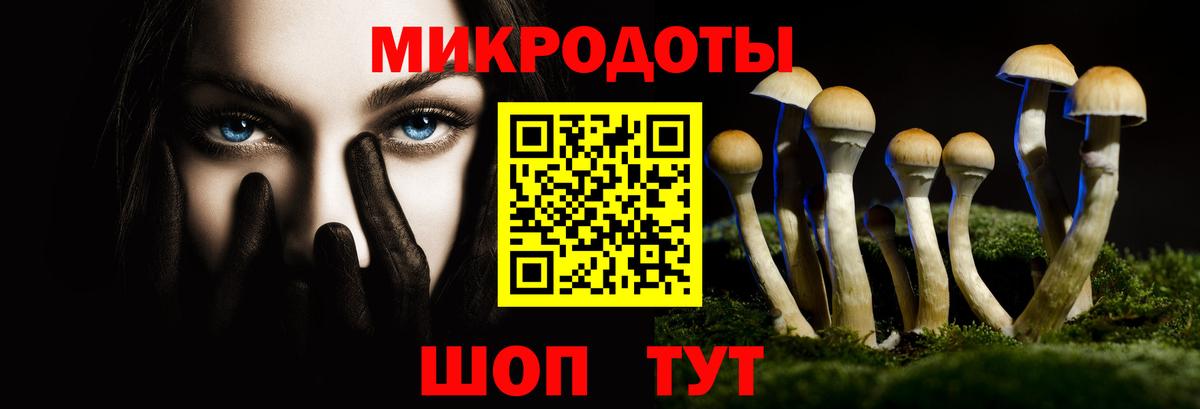 Псилоцибиновые грибы ЛСД Большой Камень